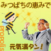 プロポリス